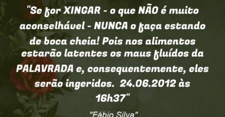 “Se for XINGAR – o que NÃO é muito aconselhável – NUNCA o faça estando de boca cheia! Pois nos alimentos estarão latentes os maus fluídos da PALAVRADA e, consequentemente, eles serão ingeridos. 24.06.2012 às 16h37”