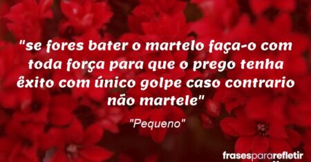 “se fores bater o martelo faça-o com toda força para que o prego tenha êxito com único golpe caso contrario não martele”