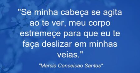 “-Se minha cabeça se agita ao te ver, meu corpo estremeçe para que eu te faça deslizar em minhas veias.”