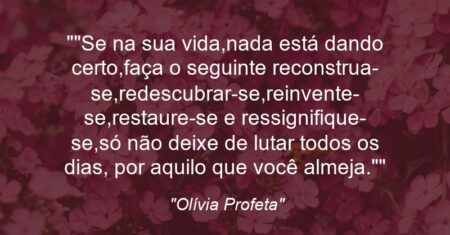 “Se na sua vida,nada está dando certo,faça o seguinte: reconstrua-se,redescubrar-se,reinvente-se,restaure-se e ressignifique-se,só não deixe de lutar todos os dias, por aquilo que você almeja.”