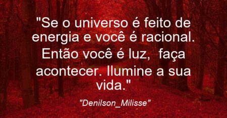 “Se o universo é feito de energia e você é racional. Então você é luz, faça acontecer. Ilumine a sua vida.”