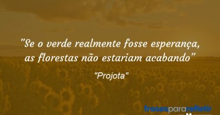 “Se o verde realmente fosse esperança, as florestas não estariam acabando”