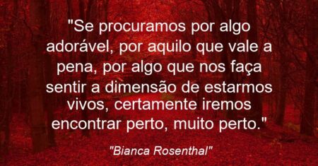 “Se procuramos por algo adorável, por aquilo que vale a pena, por algo que nos faça sentir a dimensão de estarmos vivos, certamente iremos encontrar perto, muito perto.”