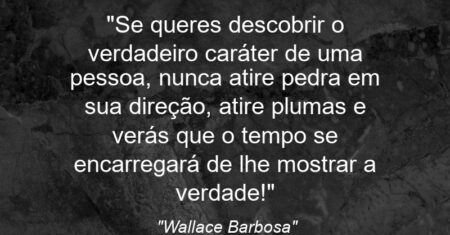 “Se queres descobrir o verdadeiro caráter de uma pessoa, nunca atire pedra em sua direção, atire plumas e verás que o tempo se encarregará de lhe mostrar a verdade!”