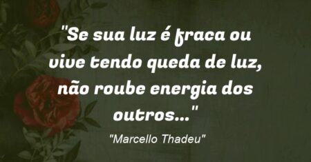 “Se sua luz é fraca ou vive tendo queda de luz, não roube energia dos outros…”