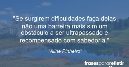 “Se surgirem dificuldades faça delas não uma barreira mais sim um obstáculo a ser ultrapassado e recompensado com sabedoria.”