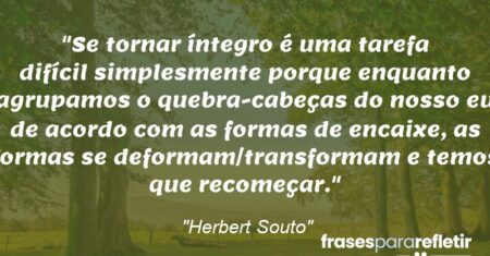 “Se tornar íntegro é uma tarefa difícil simplesmente porque enquanto agrupamos o quebra-cabeças do nosso eu de acordo com as formas de encaixe, as formas se deformam/transformam e temos que recomeçar.”