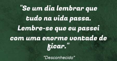 “Se um dia lembrar que tudo na vida passa. Lembre-se que eu passei com uma enorme vontade de ficar.”