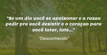 “Se um dia você se apaixonar e a razao pedir pra você desistir e o coraçao para você lutar, lute…”