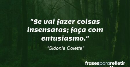 “Se vai fazer coisas insensatas; faça com entusiasmo.”