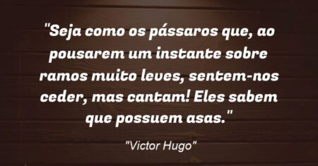 “Seja como os pássaros que, ao pousarem um instante sobre ramos muito leves, sentem-nos ceder, mas cantam! Eles sabem que possuem asas.”