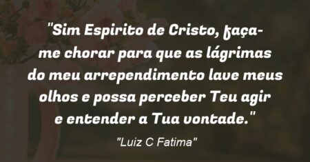 “Sim Espirito de Cristo, faça-me chorar para que as lágrimas do meu arrependimento lave meus olhos e possa perceber Teu agir e entender a Tua vontade.”