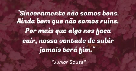 “Sinceramente não somos bons. Ainda bem que não somos ruins. Por mais que algo nos faça cair, nossa vontade de subir jamais terá fim.”