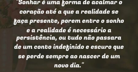 “Sonhar é uma forma de acalmar o coração até a que a realidade se faça presente, porem entre o sonho e a realidade é necessário a persistência, ou tudo não passara de um conto indefinido e escuro que se perde sempre ao nascer de um novo dia.”