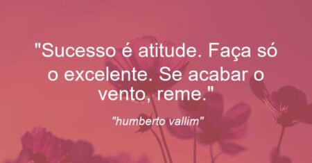 “Sucesso é atitude. Faça só o excelente. Se acabar o vento, reme.”