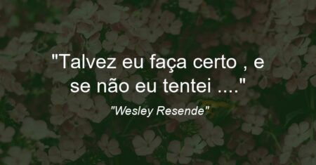 “Talvez eu faça certo , e se não eu tentei ….”