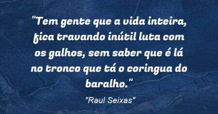 “Tem gente que a vida inteira, fica travando inútil luta com os galhos, sem saber que é lá no tronco que tá o coringua do baralho.”