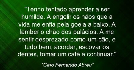 “Tenho tentado aprender a ser humilde. A engolir os nãos que a vida me enfia pela goela a baixo. A lamber o chão dos palácios. A me sentir desprezado-como-um-cão, e tudo bem, acordar, escovar os dentes, tomar um café e continuar.”