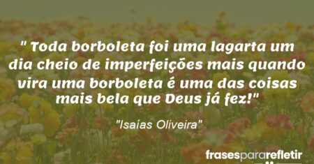 “Toda borboleta foi uma lagarta um dia cheio de imperfeições mais quando vira uma borboleta é uma das coisas mais bela que Deus já fez!”