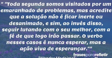 “”Toda segunda somos visitados por um emaranhado de problemas, mas acredite que a solução não é ficar inerte ou desanimado, e sim, ao invés disso, seguir lutando com o seu melhor, com a fé de que logo irão passar. O verbo nesses casos é nunca esperar, mas a ação viva de esperançar.””