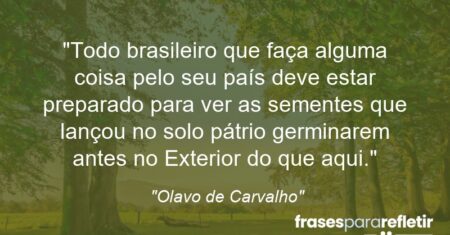 “Todo brasileiro que faça alguma coisa pelo seu país deve estar preparado para ver as sementes que lançou no solo pátrio germinarem antes no Exterior do que aqui.”