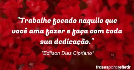 “Trabalhe focado naquilo que você ama fazer e faça com toda sua dedicação.”