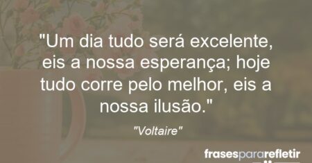 “Um dia tudo será excelente, eis a nossa esperança; hoje tudo corre pelo melhor, eis a nossa ilusão.”