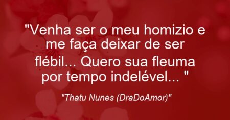 “Venha ser o meu homizio e me faça deixar de ser flébil… Quero sua fleuma por tempo indelével… ♥”