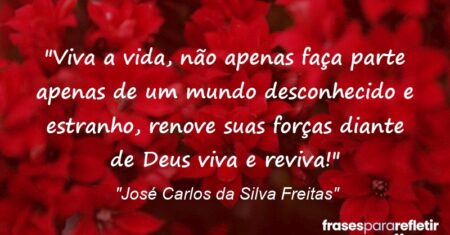 “Viva a vida, não apenas faça parte apenas de um mundo desconhecido e estranho, renove suas forças diante de Deus viva e reviva!”