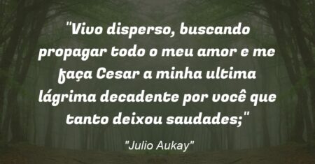 “Vivo disperso, buscando propagar todo o meu amor e me faça Cesar a minha ultima lágrima decadente por você que tanto deixou saudades;”