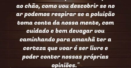 “Voando no mundo que estamos presos ao chão, como vou descobrir se no ar podemos respirar se a poluição toma conta da nossa mente, com cuidado e bem devagar vou caminhando para amanhã ter a certeza que voar é ser livre e poder conter nossas próprias opiniões.”