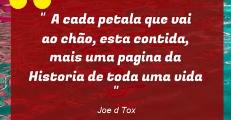 ” A cada petala que vai ao chão, esta contida, mais uma pagina da Historia de toda uma vida “