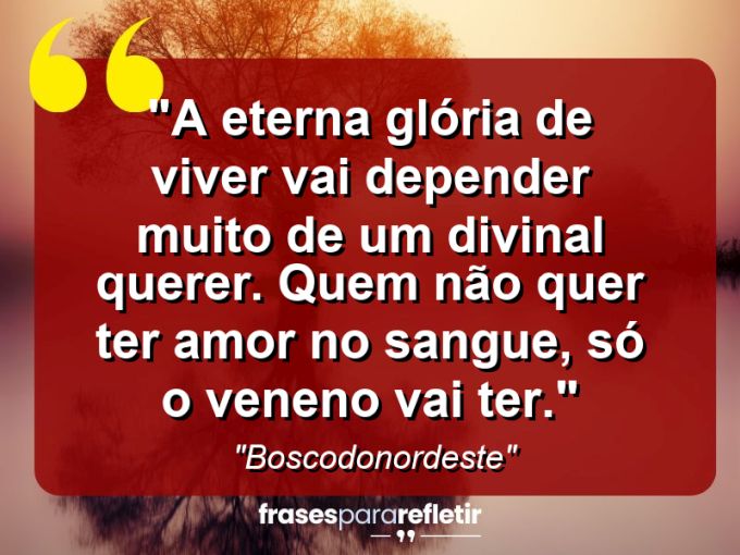 Frases de Amor: mensagens românticas e apaixonantes - “A eterna glória de viver vai depender muito de um divinal querer. Quem não quer ter amor no sangue, só o veneno vai ter.”