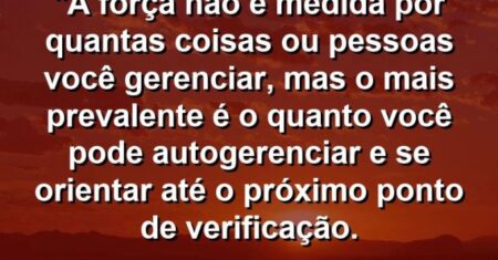 “A força não é medida por quantas coisas ou pessoas você gerenciar, mas o mais prevalente é o quanto você pode autogerenciar e se orientar até o próximo ponto de verificação.
