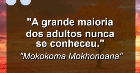 “A grande maioria dos adultos nunca se conheceu.”