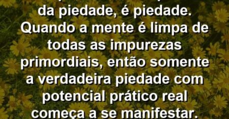 “A limpeza não está próxima da piedade, é piedade. Quando a mente é limpa de todas as impurezas primordiais, então somente a verdadeira piedade com potencial prático real começa a se manifestar.