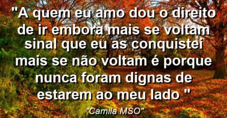 “A quem eu amo dou o direito de ir embora mais se voltam sinal que eu as conquistei mais se não voltam é porque nunca foram dignas de estarem ao meu lado “