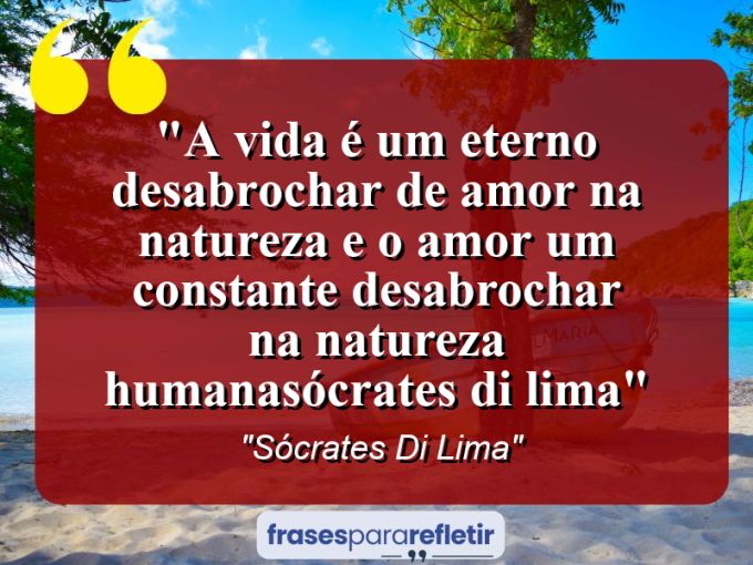 Frases de Amor: mensagens românticas e apaixonantes - “A vida é um eterno desabrochar de amor na natureza E o amor um constante desabrochar na natureza humana(Sócrates Di Lima)”