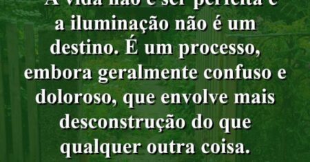 “A vida não é ser perfeita e a iluminação não é um destino. É um processo, embora geralmente confuso e doloroso, que envolve mais desconstrução do que qualquer outra coisa.