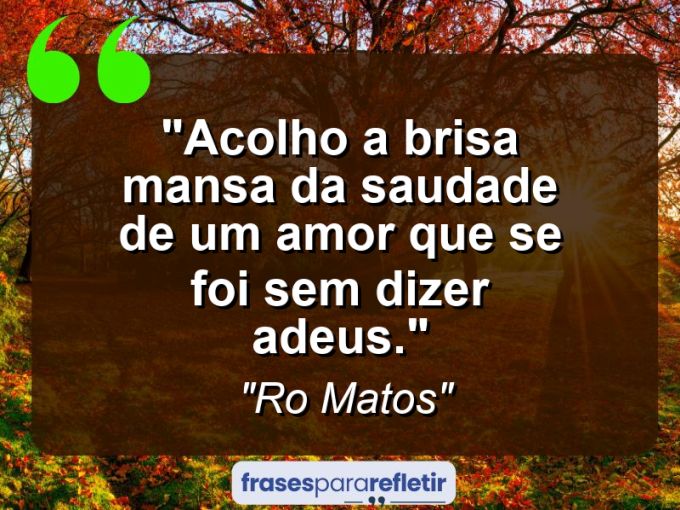 Frases de Amor: mensagens românticas e apaixonantes - “Acolho a brisa mansa da saudade de um amor que se foi sem dizer adeus.”