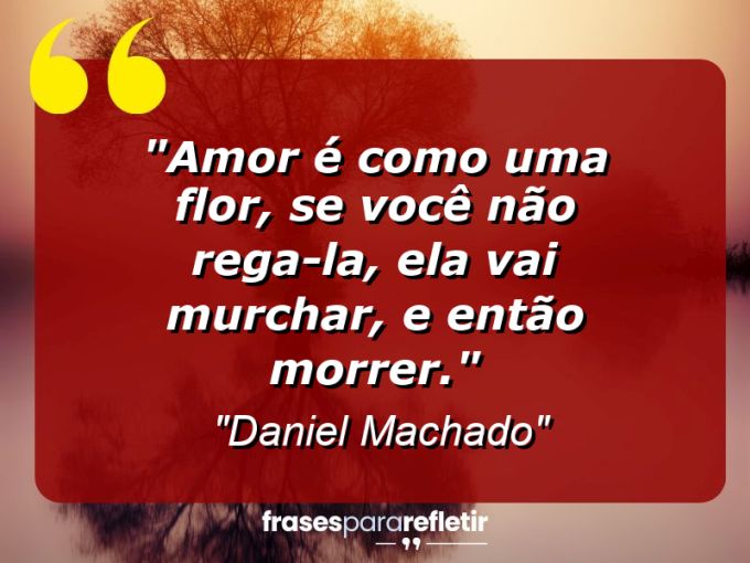 Frases de Amor: mensagens românticas e apaixonantes - “Amor é como uma flor, se você não rega-la, ela vai murchar, e então morrer.”