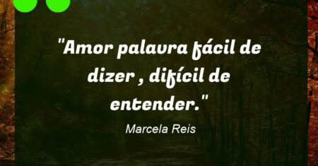 “Amor palavra fácil de dizer , difícil de entender.”