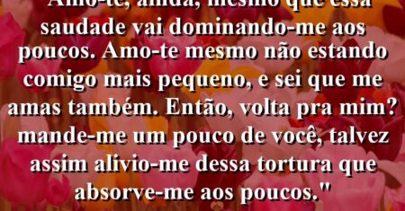 “Amo-te, ainda, mesmo que essa saudade vai dominando-me aos poucos. Amo-te mesmo não estando comigo mais pequeno, e sei que me amas também. Então, volta pra mim? Mande-me um pouco de você, talvez assim alivio-me dessa tortura que absorve-me aos poucos.”