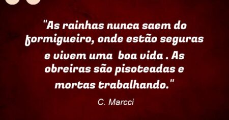 “As rainhas nunca saem do formigueiro, onde estão seguras e vivem uma boa vida . As obreiras são pisoteadas e mortas trabalhando.”
