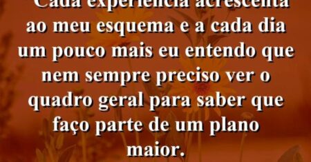 “Cada experiência acrescenta ao meu esquema e a cada dia um pouco mais eu entendo que nem sempre preciso ver o quadro geral para saber que faço parte de um plano maior.