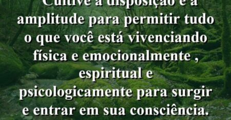 “Cultive a disposição e a amplitude para permitir tudo o que você está vivenciando física e emocionalmente , espiritual e psicologicamente para surgir e entrar em sua consciência.