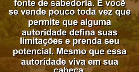 “Dentro de você há uma fonte de sabedoria. E você se vende pouco toda vez que permite que alguma autoridade defina suas limitações e prenda seu potencial. Mesmo que essa autoridade viva em sua cabeça.