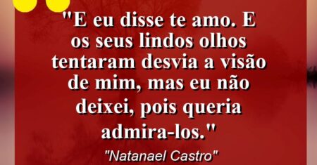 “E eu disse: te amo. E os seus lindos olhos tentaram desvia a visão de mim, mas eu não deixei, pois queria admira-los.”