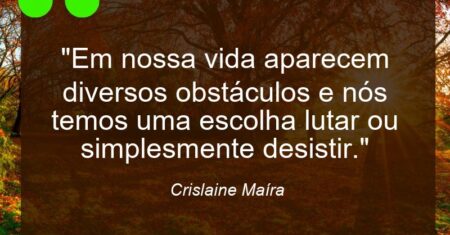 “Em nossa vida aparecem diversos obstáculos e nós temos uma escolha lutar ou simplesmente desistir.”