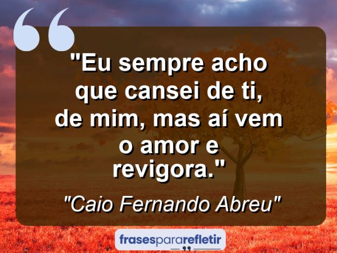 Frases de Amor: mensagens românticas e apaixonantes - “Eu sempre acho que cansei de ti, de mim, mas aí vem o amor e revigora.”